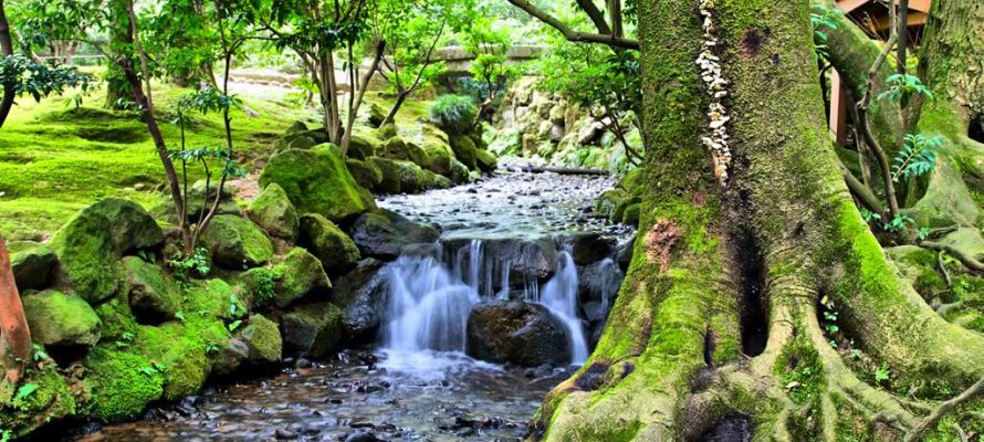 Water - Kenroku-en Gardens