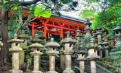 Kasuga Grand Shrine - Nara
