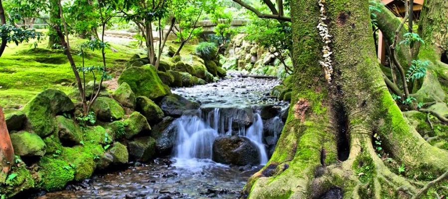 Water - Kenroku-en Gardens